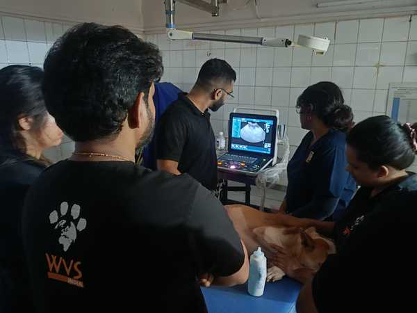 How we help How we help