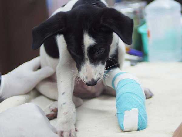 Donate today Donate today