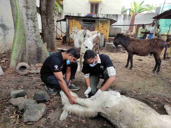 We have been at the forefront of animal welfare since 2003 We have been at the forefront of animal welfare since 2003