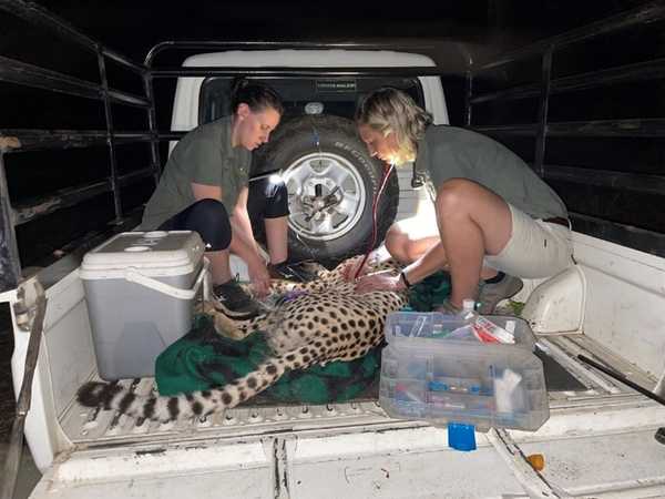 Corporate involvement Corporate involvement