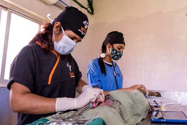 Membership Membership