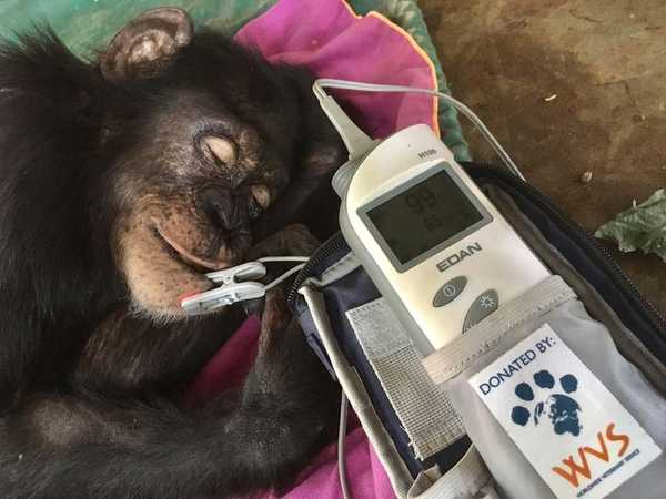 We're poised to send aid supplies and expert care around the world. We're poised to send aid supplies and expert care around the world.