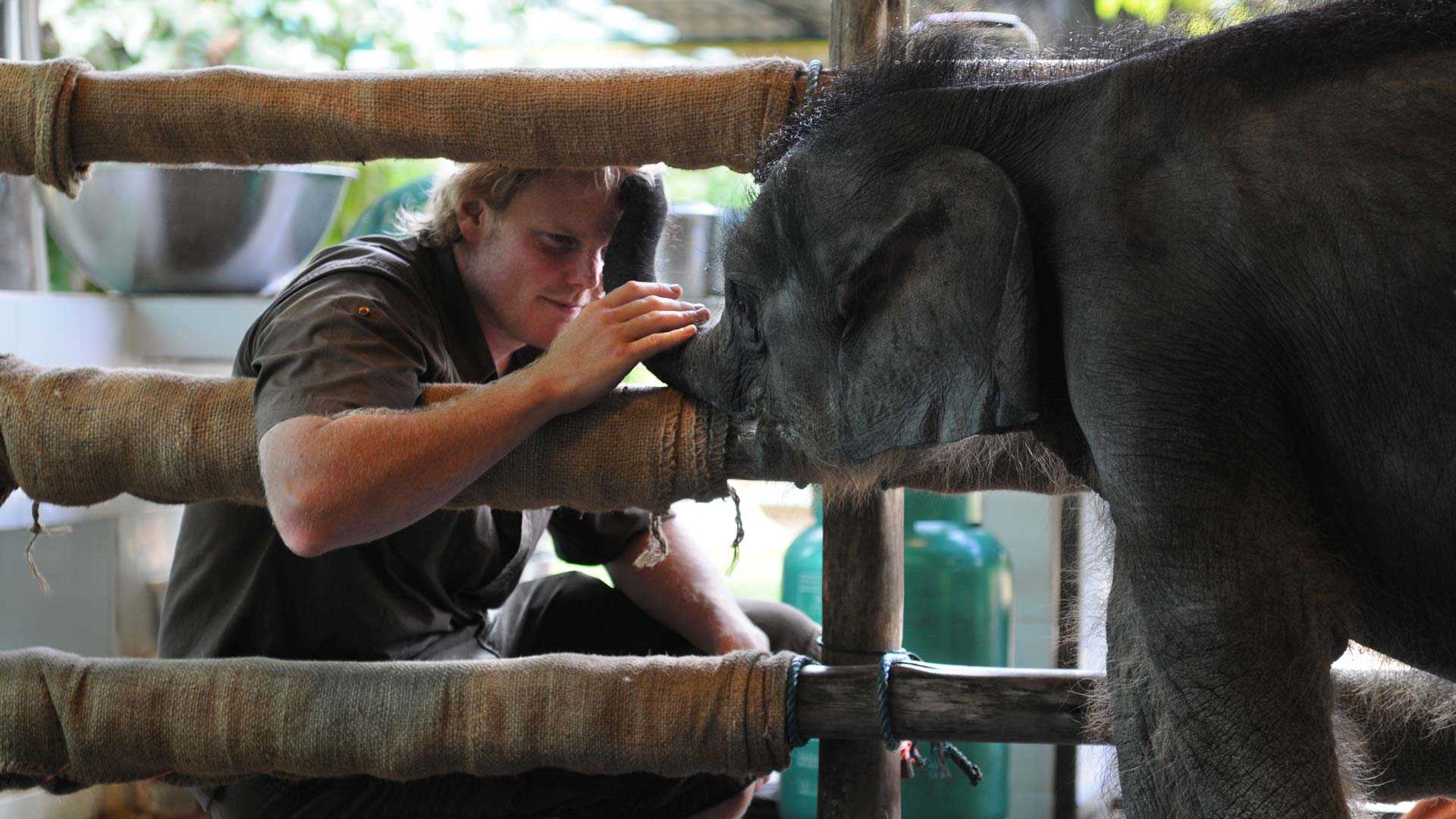 Providing expert care for the world's most vulnerable animals. Providing expert care for the world's most vulnerable animals.